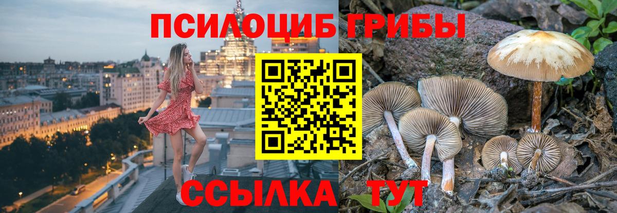 Домодедово  Галлюциногенные грибы Magic Shrooms  Вход с VPN 